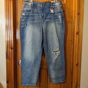 🆕 Lane Bryant jeans, NEW with tags, sz 20.